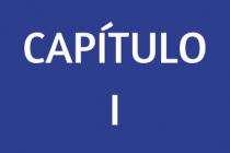 CAPÍTULO I
