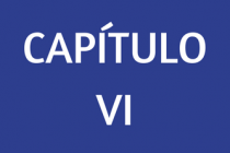 CAPÍTULO VI