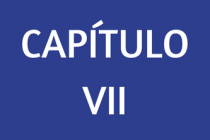 CAPÍTULO VII