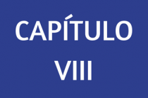 CAPÍTULO VIII