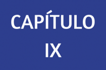CAPÍTULO IX