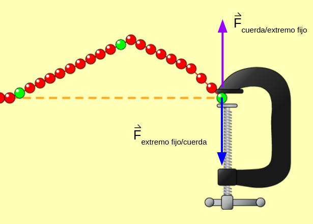Captura de pantalla del simuador onda en una cuerda que muestra el instante en que el pulso llega al extremo fijo. Se han representado la fuerza que actúa sobre el extremo fijo y que realiza la cuerda, y la fuerza que actúa sobre la cuerda y que es ejercida por el extremo fijo.