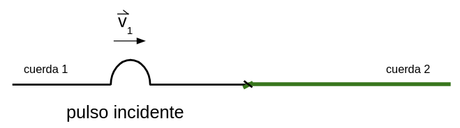 Se muestran dos cuerdas diferentes unidas, la cuerda de la izquierda de color negro y más fina que la otra se llama cuerda 1, en ella se ha generado un pulso que se mueve hacia la derecha con velocidad v1. El pulso se va aproximando a la unión de la cuerda 1 con la dos que es de color verde.