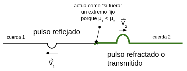 se muestra en la cuerda de la izquierda el pulso reflejado que está por debajo de la posición de equilibrio de las cuerdas, en la cuerda verde de la izquierda se muestra el pulso refractado o transmitido que está por encima de la posición de equilibrio, se ha indicado que la velocidad de este pulso es v2, porque al cambiar de medio cambia su velocidad. También se muestra que el lugar de unión de las cuerdas actúa como "si fuera" un extremo fijo porque la densidad lineal de masa de la cuerda 1 es menor que la de la cuerda 2.