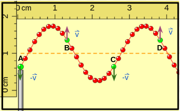 se muestra una captura del simulador onda en una cuerda, se han indicado los vectores velocidad para los puntos indicados con color verde, cuando el primero de éstos se encuentra por debajo de la posición de equilibrio