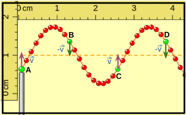 se muestra una captura del simulador onda en una cuerda, se han indicado los vectores velocidad para los puntos indicados con color verde, cuando el primero está por debajo de la posición de equilibrio y moviéndose hacia arriba.