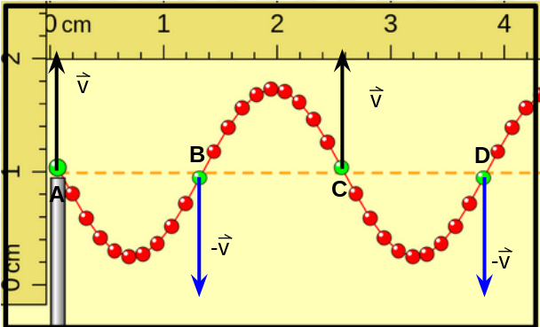 se muestra una captura del simulador onda en una cuerda, se han indicado los vectores velocidad para los puntos indicados con color verde, cuando éstos se encuentran en la posición de equilibrio, donde el primero de ellos se mueve hacia arriba.