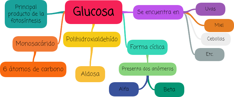 Resumen glucosa