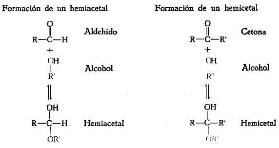 Formación de un hemiacetal y de un hemicetal