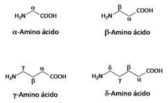clasificación en alfa, beta, gamma y delta aminoácidos