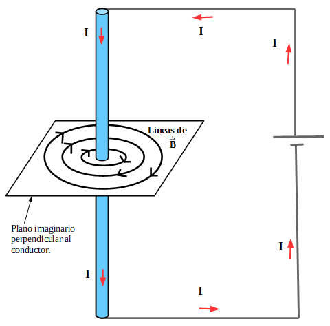 Representación de un conductor recto vertical por el que circula corriente hacia abajo. Perpendicular al conductor se ha colocado un plano imaginario en el que se ven las líneas de campo magnético representadas por circunferencias concéntricas con sentido horario.