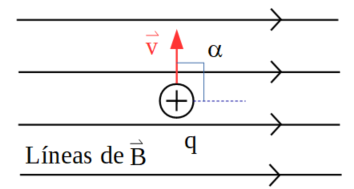 partícula con carga q moviéndose verticalmente hacia arriba en un campo magnético uniforme horizontal a la derecha.