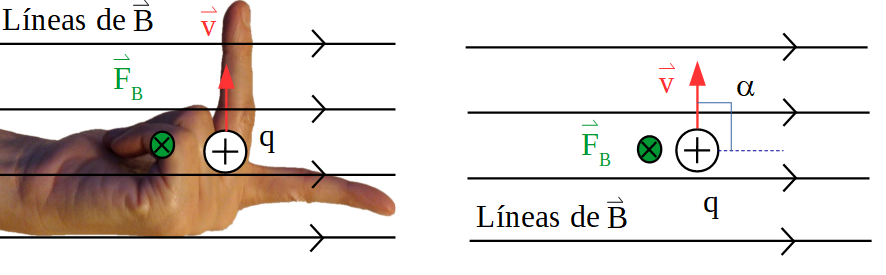 Aplicación de la regla de la mano izquierda para una carga que se mueve en dirección vertical hacia arriba dentro de un campo magnético horizontal a la derecha
