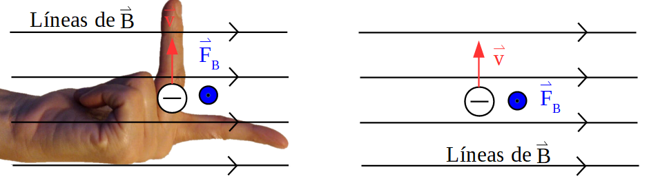 Aplicación de la regla de la mano izquierda para una carga negativa. Se observa que el sentido de la fuerza es opuesto al que indica la regla.