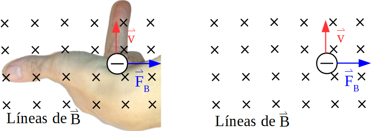 Aplicación de la regla de la mano izquierda para una carga negativa. Se observa que el sentido de la fuerza es opuesto al que indica la regla.