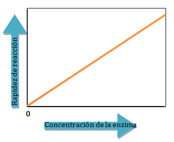 gráfica concentración de enzima