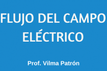 FLUJO DE CAMPO ELÉCTRICO