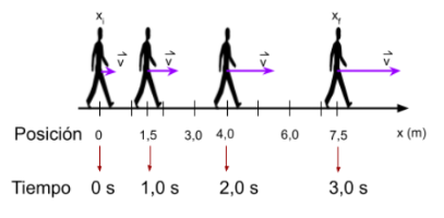Persona moviéndose sobre una recta horizontal, desde la posición 0 metros hasta la posición 7,5 metros, se representó la posición de las personas en diferentes tiempos, así como también los vectores velocidad instantánea en dichos tiempos.