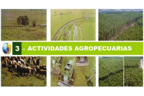 Actividades Agropecuarias